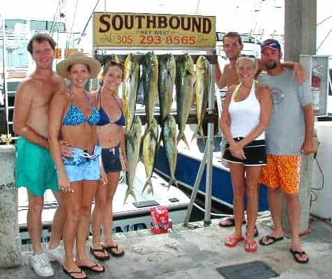 late season dolphin in Key West