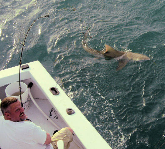 Lemmon Shark caughe on Key West fishing charter boat Southbound from Charter Boat Row Key West