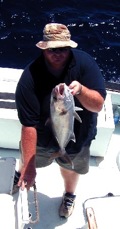 Key West Amberjack