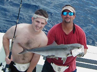 Key West Amberjack