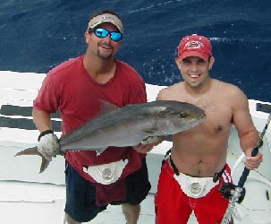 Key West Amberjack