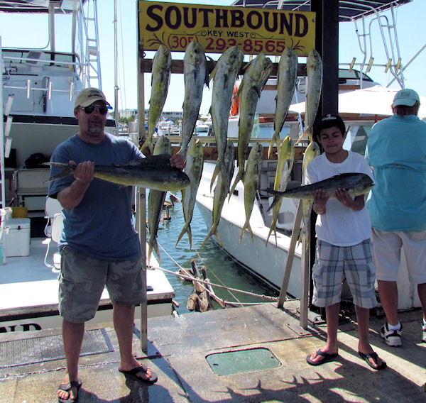 Dolphin caught in Key West fishing on charter boat Southbound from Charter Boat Row, Key West