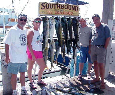 Good of Dolphin Fishing in Key West Florida