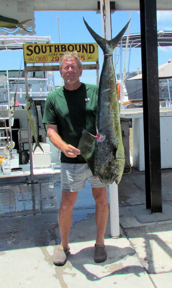 Big Dolphin Caught in Key West fishing on charter boat Southbound