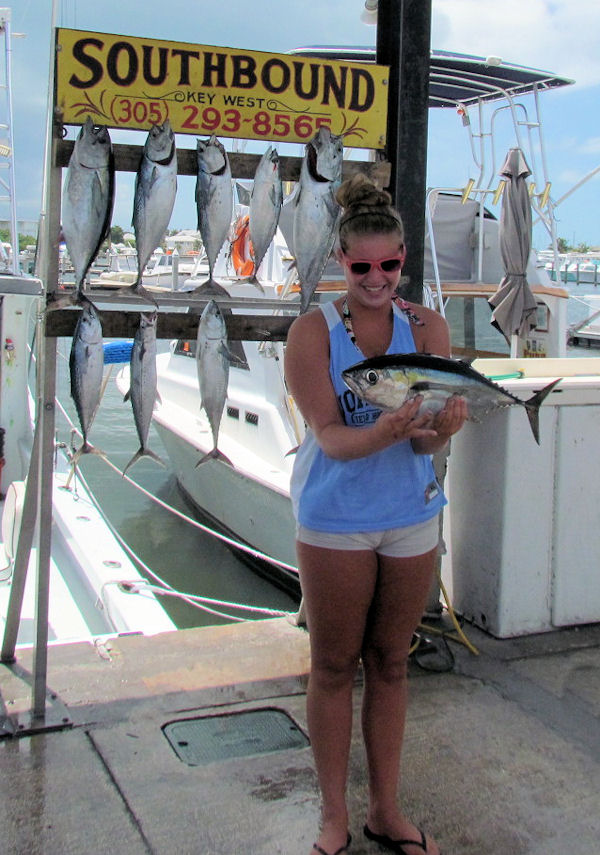 Black Fin Tuna Caught in Key West fishing on charter boat Southbound