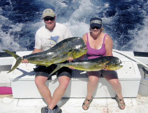 Dolphin Caught Fishing Key West, Florida on charter boat Southbound