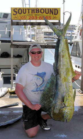 42 lb. Dolphin Caught Fishing Key West, Florida on charter boat Southbound