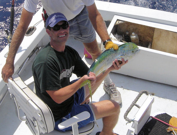 dolphin caugth in Key West fishing on Key West charter boat Southbound from Charter Boat Row