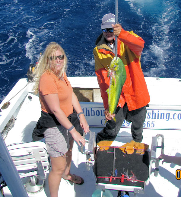 Dolphin caught in Key West fishing on charter boat Southbound from Charter Boat Row, Key West