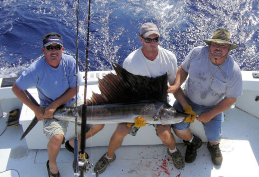 Fish caught aboard the Southbound in Key West, Florida