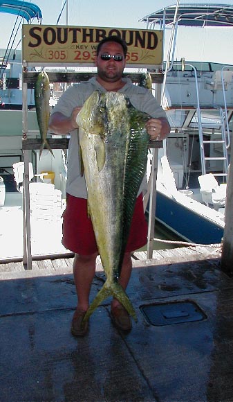 26 lb. Bull Dolphin in Key West, Florida