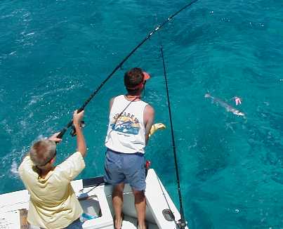 Catching Barracudas on the Reef in Key West