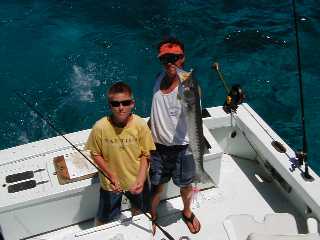 Key West Barracuda