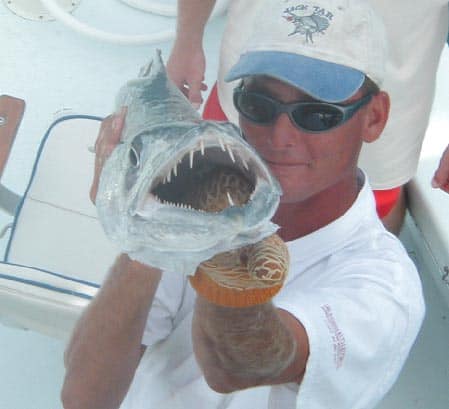 Barracuda closeup