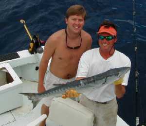 Barracudas in Key West