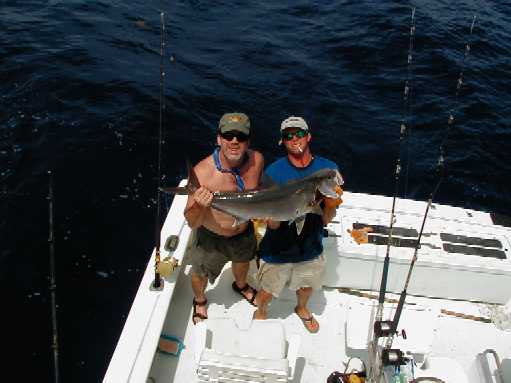 Key West Amberjack