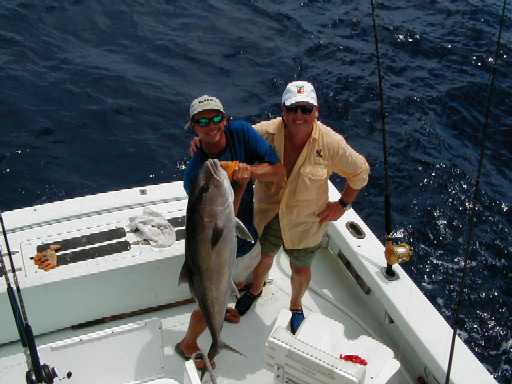 Key West Amberjack