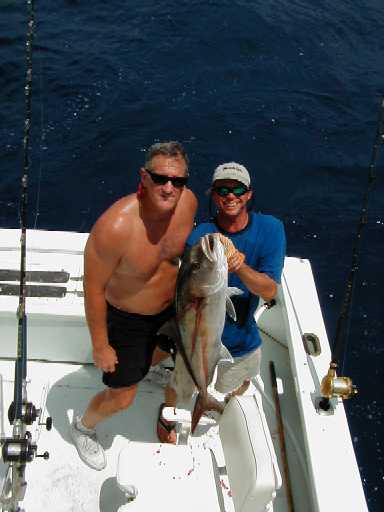 Key West Amberjack