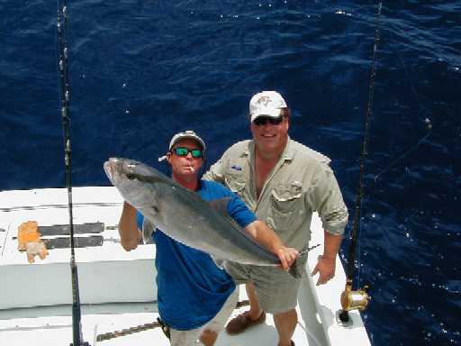 Key West Amberjack