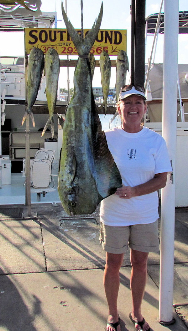 20 lb bull dolphin caught fishing Key West on charter boat Southbound from Charter Boat Row Key West