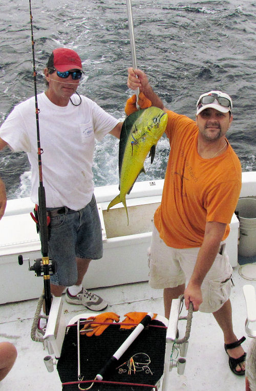 Dolphin caught in Key West fisihing on charter boat Southbound from Charter Boat Row, Key West Florida