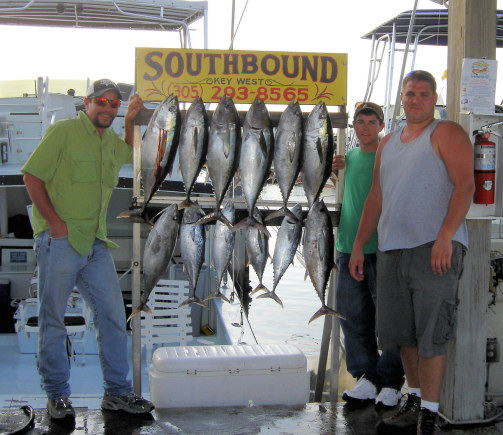 Black Fin Tuna Caught aboard charter boat Southbound fishing in Key West, Florida