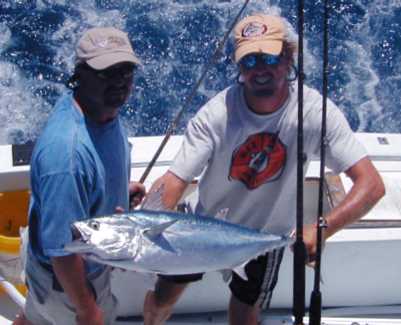 Key West Bonito