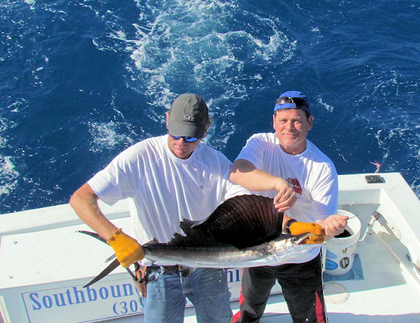 Sail fish caught fishing Key West on charter boat Southbound from Charter Boat Row Key West