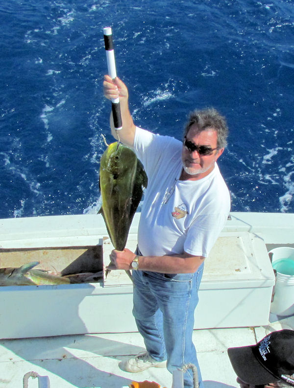 Dolphin caught in Key West fishing on Key West charter boat Southbound