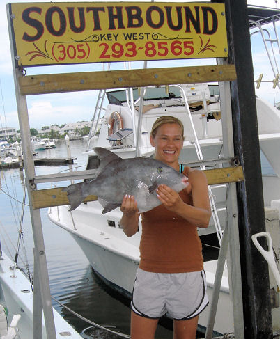 Ocean Tally caught fishing Key West on Key West Charter Boat Southbound from Charter Boat Row