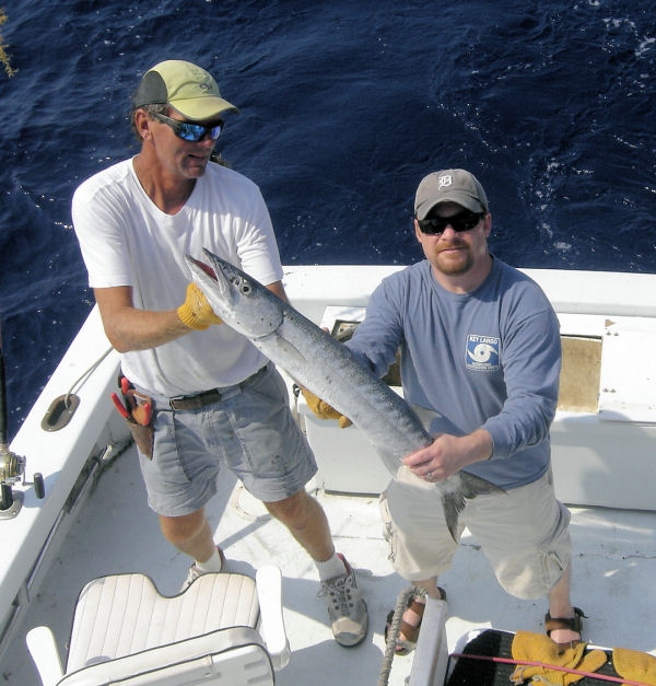 Barracuda caugth in Key West fishing on Key West charter boat Southbound from Charter Boat Row
