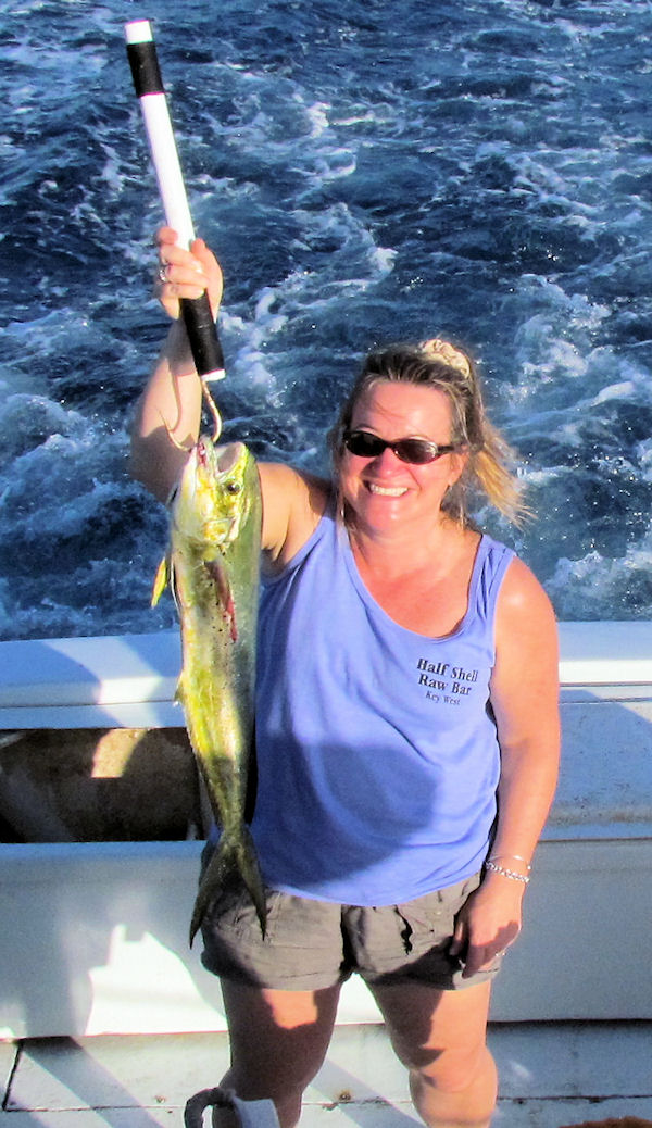 Dorado or Mahi caught fishing in Key West on Charter Boat Southbound from Charter Boat Row Key West