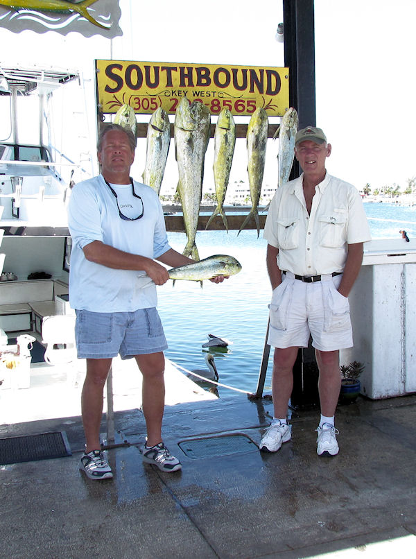 Dolphin caught in Key West fishing on charter boat Southbound from Charter Boat Row, Key West