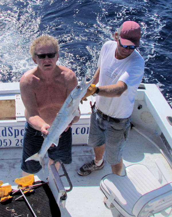 Barracuda caught in Key West fishing on charter boat Southbound from Charter Boat Row, Key West