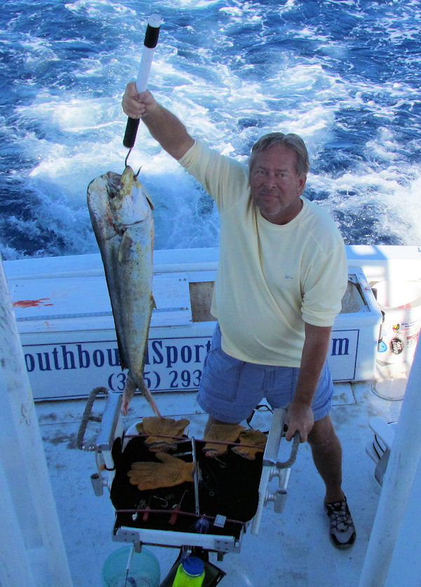 Dolphin caught in Key West fishing on charter boat Southbound from Charter Boat Row, Key West