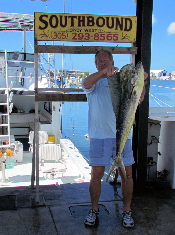 Dolphin caught in Key West fishing on charter boat Southbound from Charter Boat Row, Key West