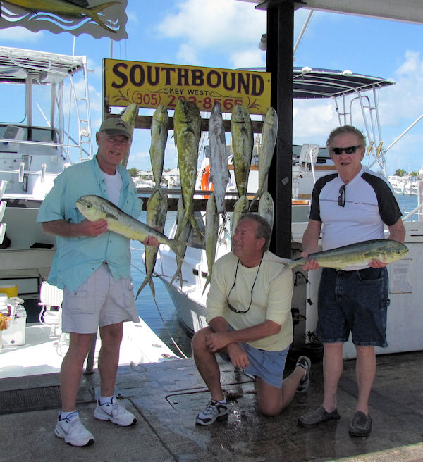 Dolphin caught in Key West fishing on charter boat Southbound from Charter Boat Row, Key West
