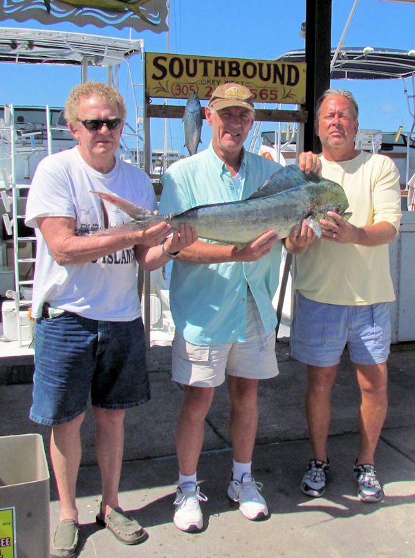 Dolphin caught in Key West fishing on charter boat Southbound from Charter Boat Row, Key West