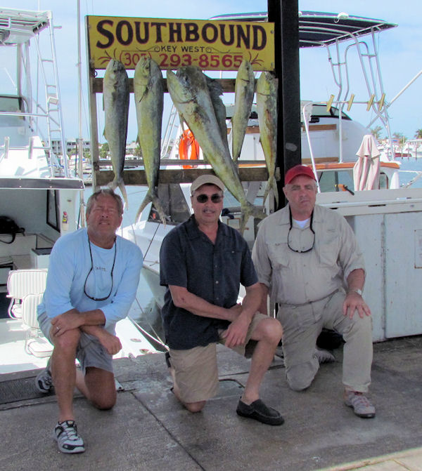 Dolphin caught in Key West fishing on charter boat Southbound from Charter Boat Row, Key West