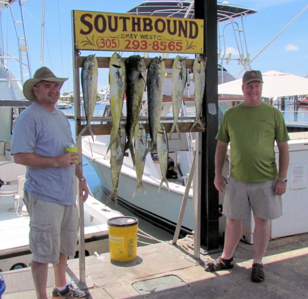 Dolphin caught in Key West fisihing on charter boat Southbound from Charter Boat Row, Key West Florida