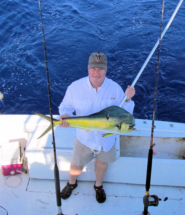 Dolphin caught in Key West fisihing on charter boat Southbound from Charter Boat Row, Key West Florida