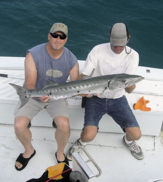 Big Barracuda caught in Key West fishing on charter boat Southbound from Charter Boat Row, Key West