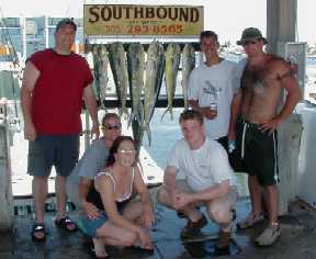 Key West Dolphin