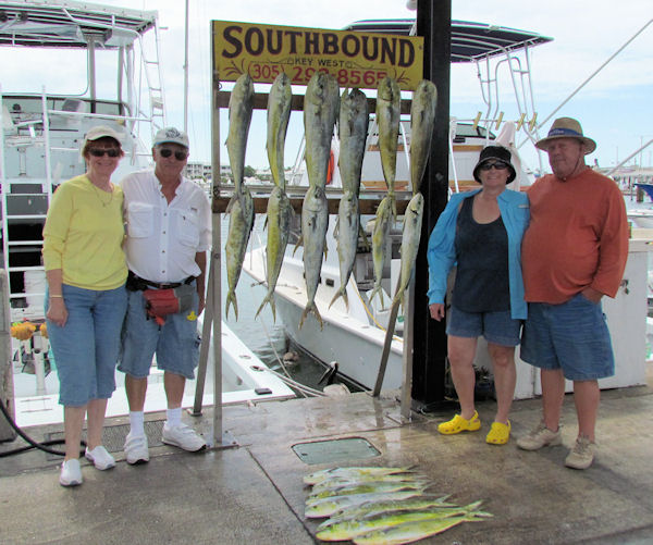 Dolphin caught in Key West fishing on charter boat Southbound from Charter Boat Row, Key West