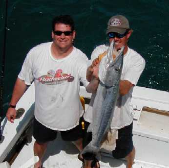 Key West Barracuda