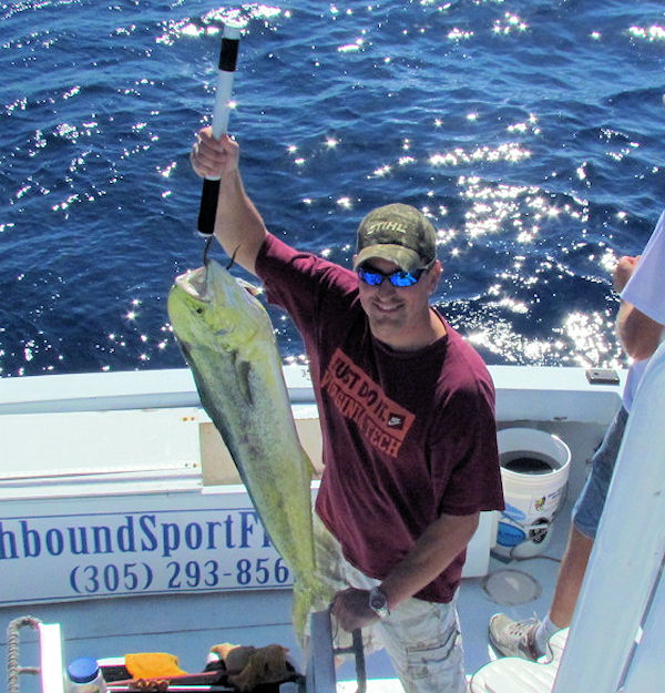 Dolphin caught fishing Key West on charter boat Southbound from Charter Boat Row Key West