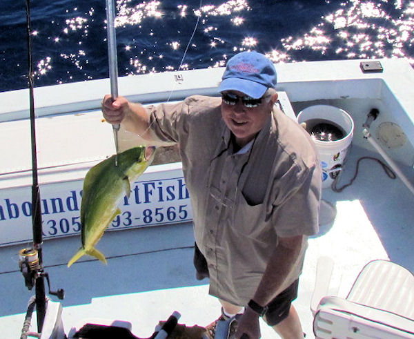 Dolphin caught fishing Key West on charter boat Southbound from Charter Boat Row Key West