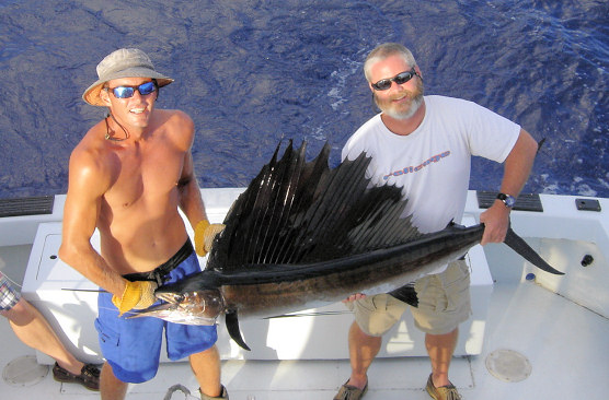 Sailfish caught fishing on charter boat Southbound in Key West, Florid