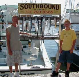 Bonitos in Key West