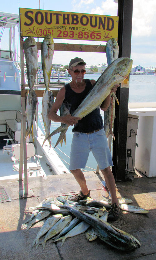 dolphin caugth in Key West fishing on Key West charter boat Southbound from Charter Boat Row